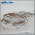 DC24V 5m Reel 30LEDs / M 150 SMD5050 RGB LED Strip Light